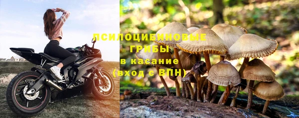 гидра Абдулино