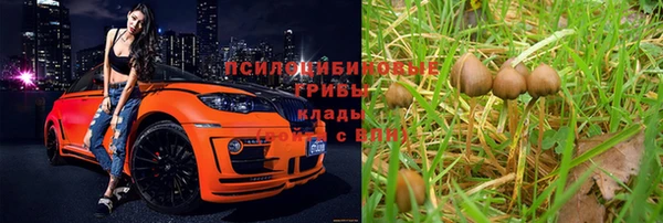 стафф Абаза